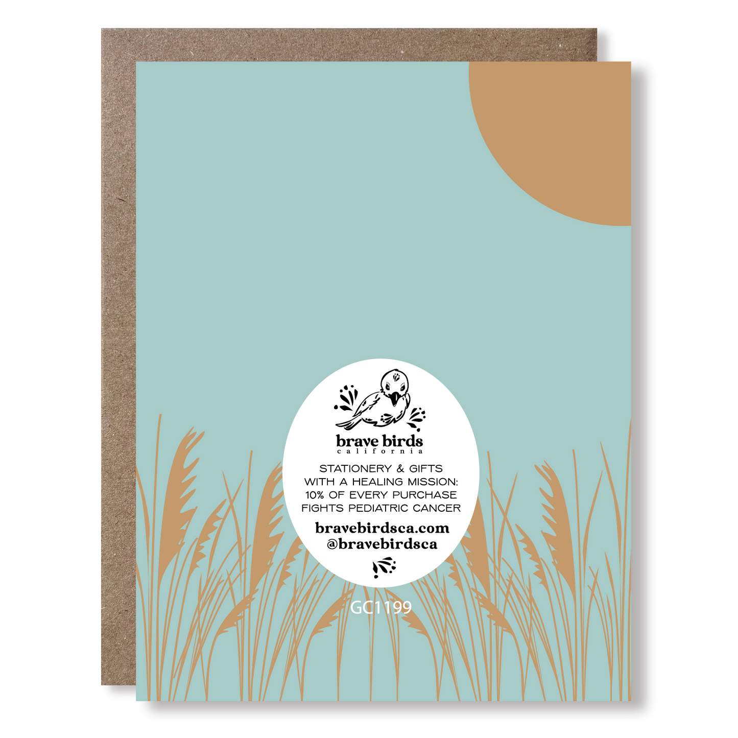 Sea Birds Birthday Greeting Card