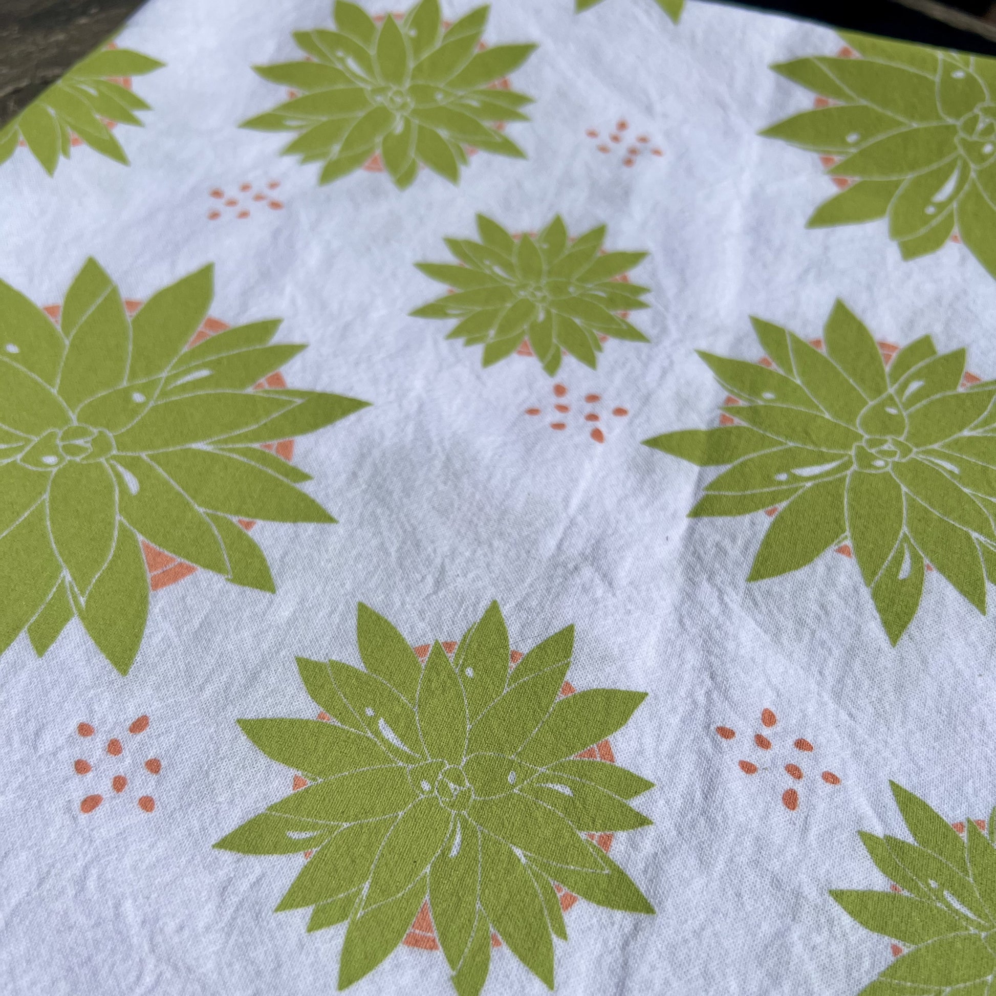 Closeup of Succulent print