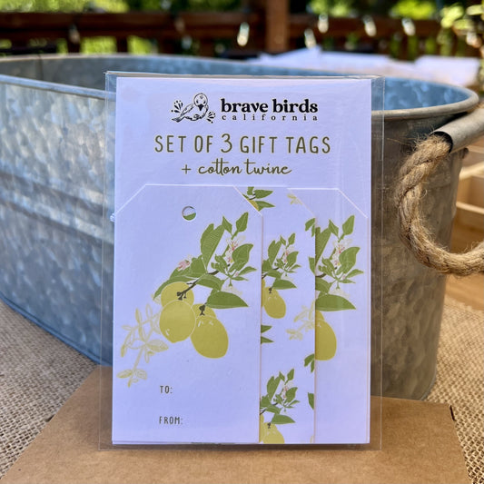 Packaged 3 pack of gifttags with a white card backing and clear poly envelope