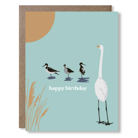 Sea Birds Birthday Greeting Card