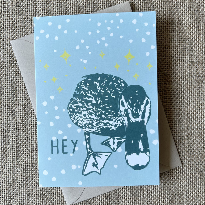 aqua blue background card with a teal duck illustration and text saying hey